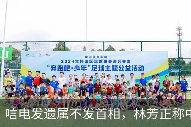 唁电发遗属不发首相，林芳正称中日没必要对立，高市涉台表述仍纠结