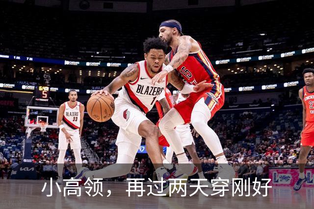 小高领，再过两天穿刚好