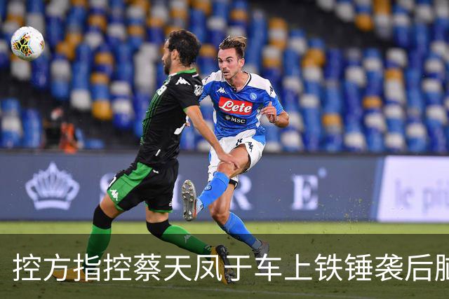 控方指控蔡天凤于车上铁锤袭后脑，锤柄检出DNA 锤头未见人体组织