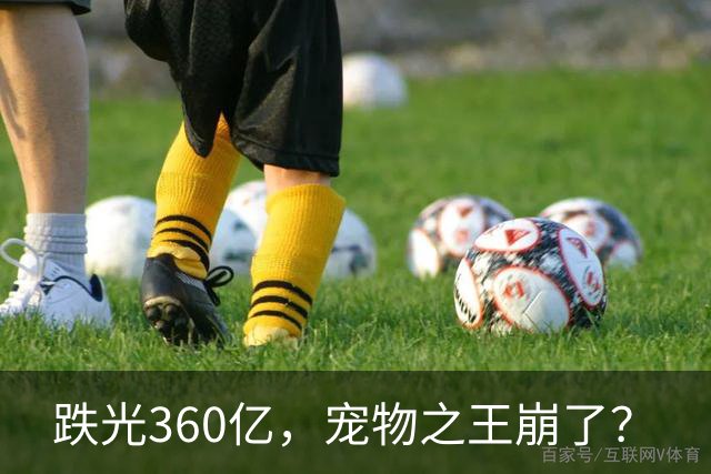 跌光360亿，宠物之王崩了？